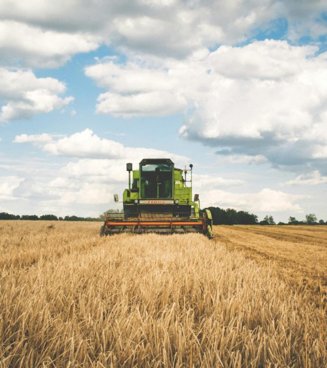 A green tractor harvesting wheat in a vast open field under a bright, cloudy sky.